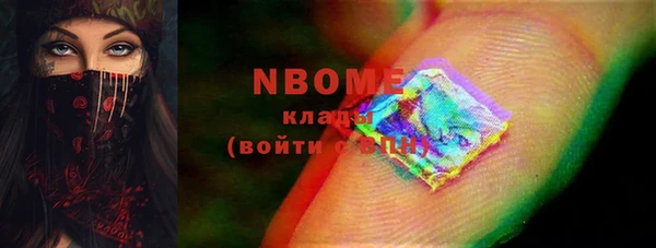 хмурый Гусев