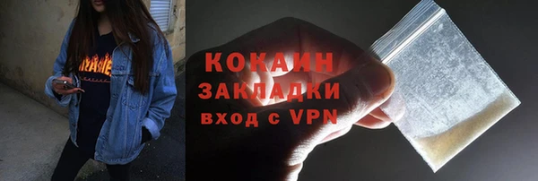 хмурый Гусев
