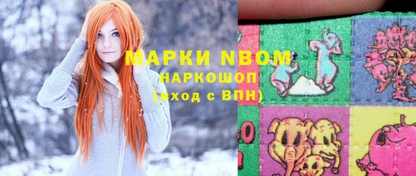 соль ск Гусиноозёрск
