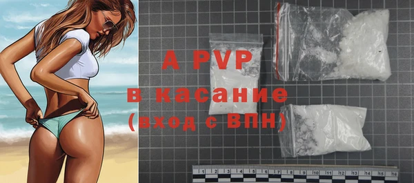 хмурый Гусев